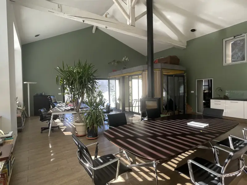 Grand bureau lumineux sous charpente bois : murs vert sauge, table de réunion, plantes et poêle